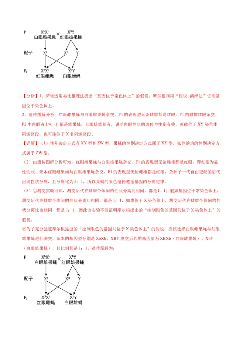 专题19遗传综合实验分析（解析版)_2024年新高考资料_3.2024专项复习_备战2024年高考生物一轮复习重难点专项突破_专题19遗传综合实验分析