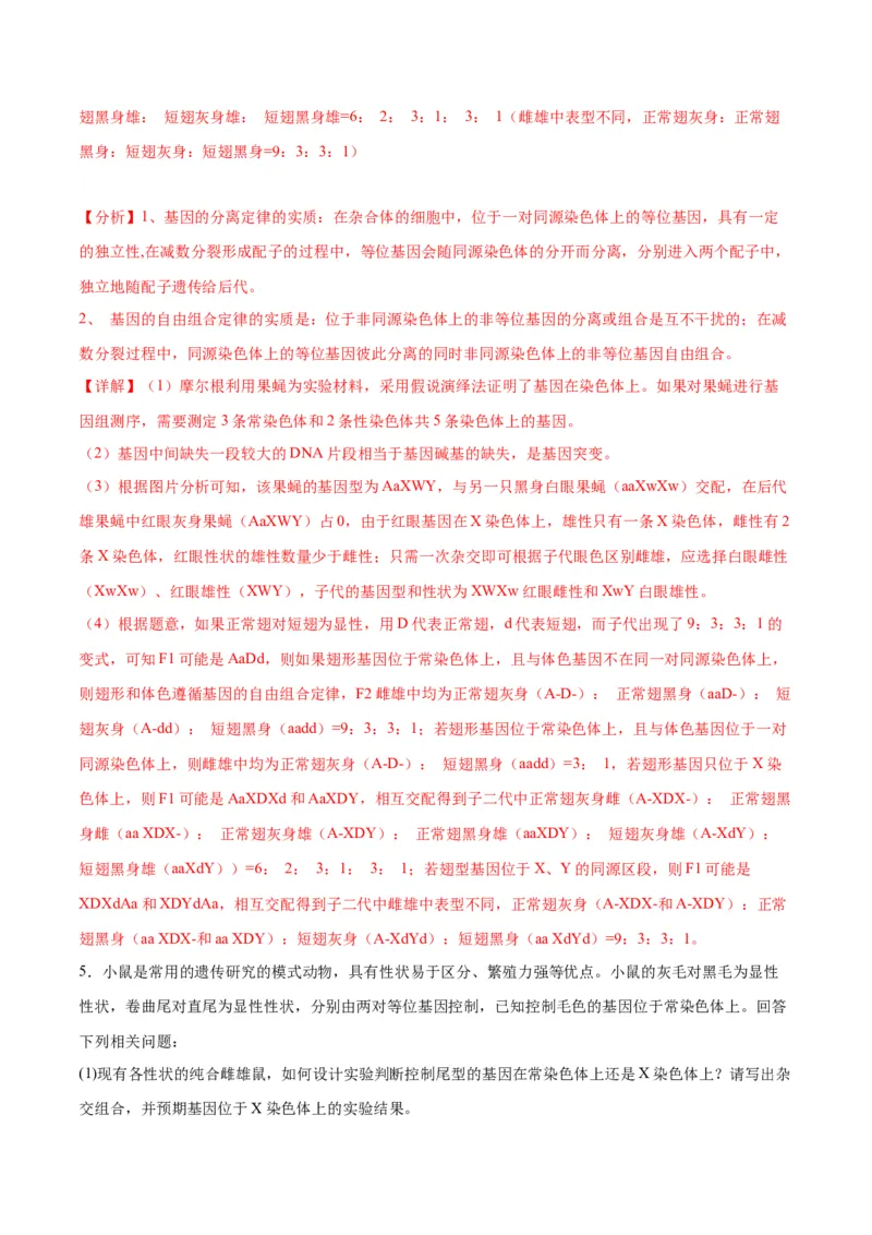 专题19遗传综合实验分析（解析版)_2024年新高考资料_3.2024专项复习_备战2024年高考生物一轮复习重难点专项突破_专题19遗传综合实验分析