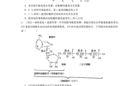 专题08酶和ATP（原卷版）_2024年新高考资料_1.2024一轮复习_备战2024年高考生物一轮复习抢分特训（全国通用）_专题08+酶和ATP-备战2024年高考生物一轮复习抢分特训（全国通用）