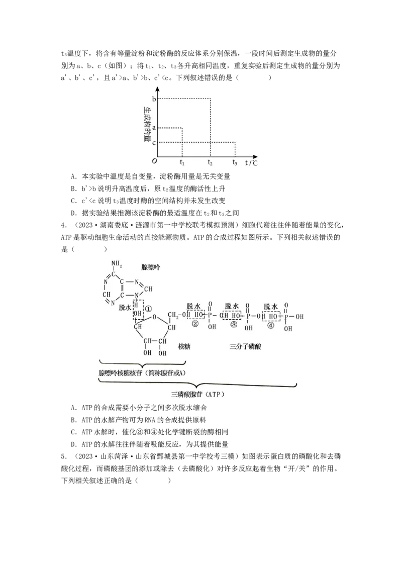 专题08酶和ATP（原卷版）_2024年新高考资料_1.2024一轮复习_备战2024年高考生物一轮复习抢分特训（全国通用）_专题08+酶和ATP-备战2024年高考生物一轮复习抢分特训（全国通用）