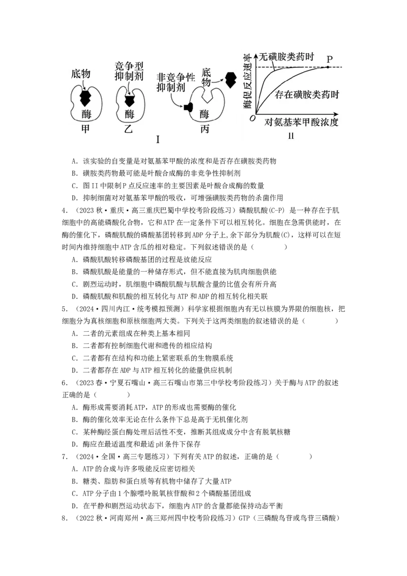 专题08酶和ATP（原卷版）_2024年新高考资料_1.2024一轮复习_备战2024年高考生物一轮复习抢分特训（全国通用）_专题08+酶和ATP-备战2024年高考生物一轮复习抢分特训（全国通用）