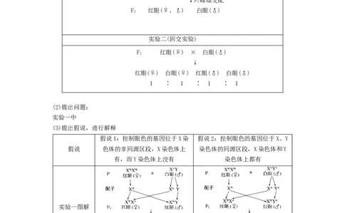 专题16基因在染色体上、伴性遗传和人类遗传病（串讲）（原卷版）_2024年新高考资料_1.2024一轮复习_备战2024年高考生物一轮复习串讲精练（新高考专用）