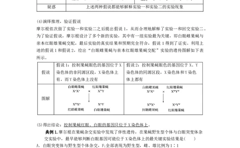 专题16基因在染色体上、伴性遗传和人类遗传病（串讲）（原卷版）_2024年新高考资料_1.2024一轮复习_备战2024年高考生物一轮复习串讲精练（新高考专用）