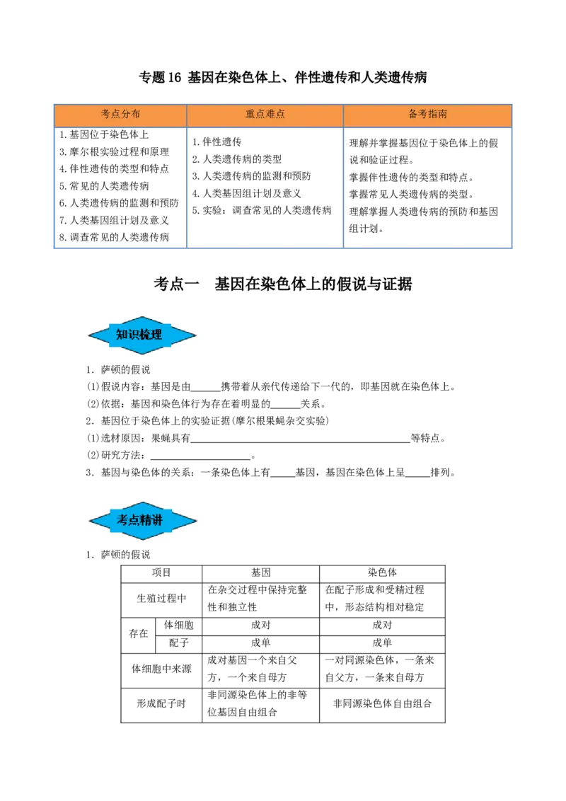 专题16基因在染色体上、伴性遗传和人类遗传病（串讲）（原卷版）_2024年新高考资料_1.2024一轮复习_备战2024年高考生物一轮复习串讲精练（新高考专用）