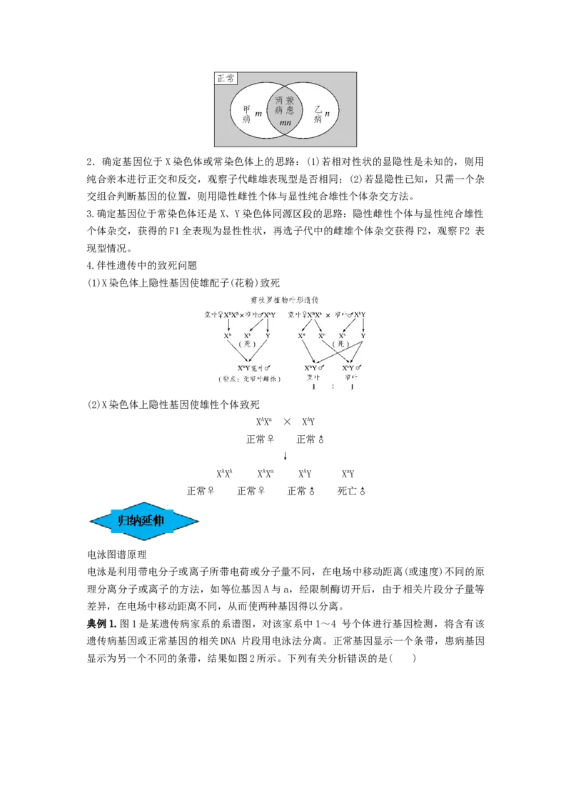 专题16基因在染色体上、伴性遗传和人类遗传病（串讲）（原卷版）_2024年新高考资料_1.2024一轮复习_备战2024年高考生物一轮复习串讲精练（新高考专用）