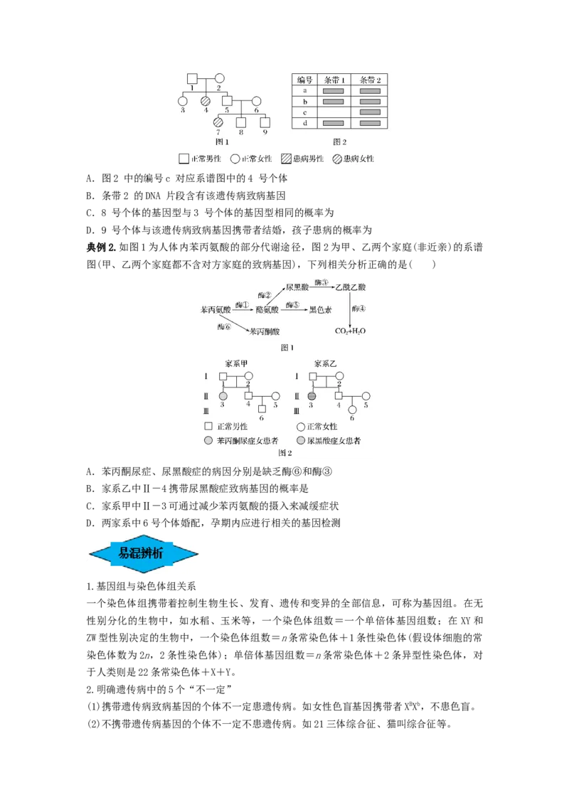 专题16基因在染色体上、伴性遗传和人类遗传病（串讲）（原卷版）_2024年新高考资料_1.2024一轮复习_备战2024年高考生物一轮复习串讲精练（新高考专用）