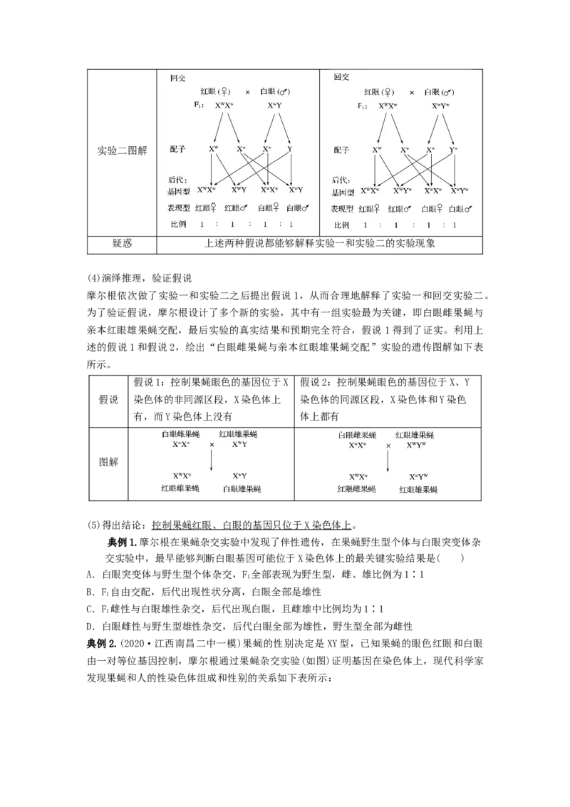 专题16基因在染色体上、伴性遗传和人类遗传病（串讲）（原卷版）_2024年新高考资料_1.2024一轮复习_备战2024年高考生物一轮复习串讲精练（新高考专用）