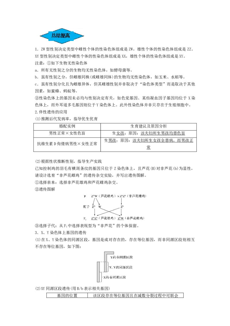专题16基因在染色体上、伴性遗传和人类遗传病（串讲）（原卷版）_2024年新高考资料_1.2024一轮复习_备战2024年高考生物一轮复习串讲精练（新高考专用）