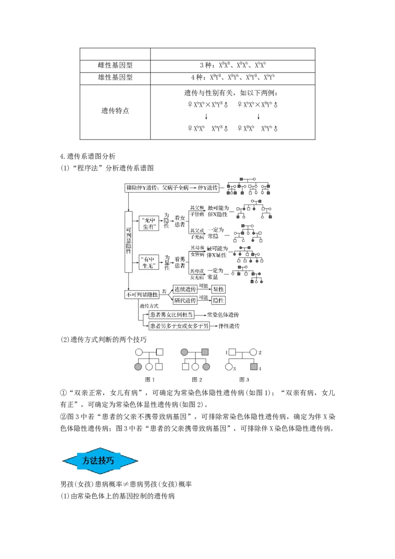 专题16基因在染色体上、伴性遗传和人类遗传病（串讲）（原卷版）_2024年新高考资料_1.2024一轮复习_备战2024年高考生物一轮复习串讲精练（新高考专用）