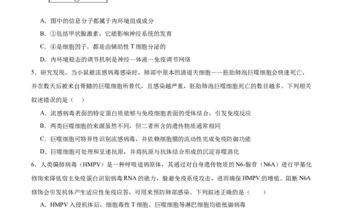 专题29免疫调节（原卷版)_2024年新高考资料_3.2024专项复习_备战2024年高考生物一轮复习重难点专项突破_专题29免疫调节-备战2024年高考生物一轮复习重难点专项突破