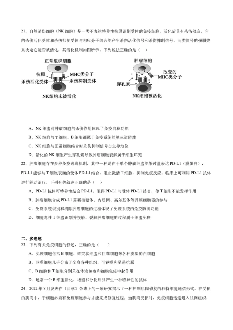 专题29免疫调节（原卷版)_2024年新高考资料_3.2024专项复习_备战2024年高考生物一轮复习重难点专项突破_专题29免疫调节-备战2024年高考生物一轮复习重难点专项突破