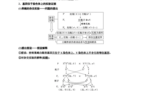 专题18伴性遗传和人类遗传病（原卷版)_2024年新高考资料_3.2024专项复习_备战2024年高考生物一轮复习重难点专项突破_专题18伴性遗传和人类遗传病