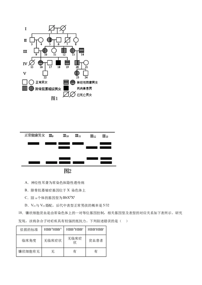 专题18伴性遗传和人类遗传病（原卷版)_2024年新高考资料_3.2024专项复习_备战2024年高考生物一轮复习重难点专项突破_专题18伴性遗传和人类遗传病