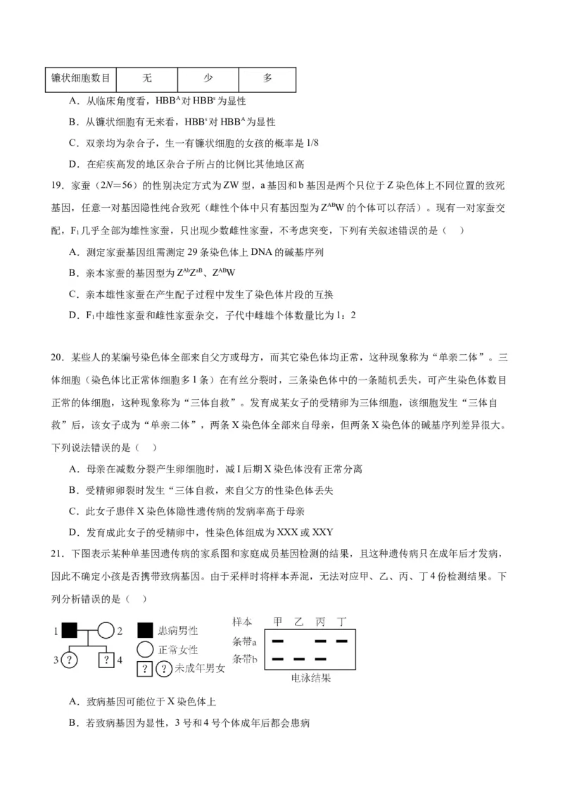 专题18伴性遗传和人类遗传病（原卷版)_2024年新高考资料_3.2024专项复习_备战2024年高考生物一轮复习重难点专项突破_专题18伴性遗传和人类遗传病