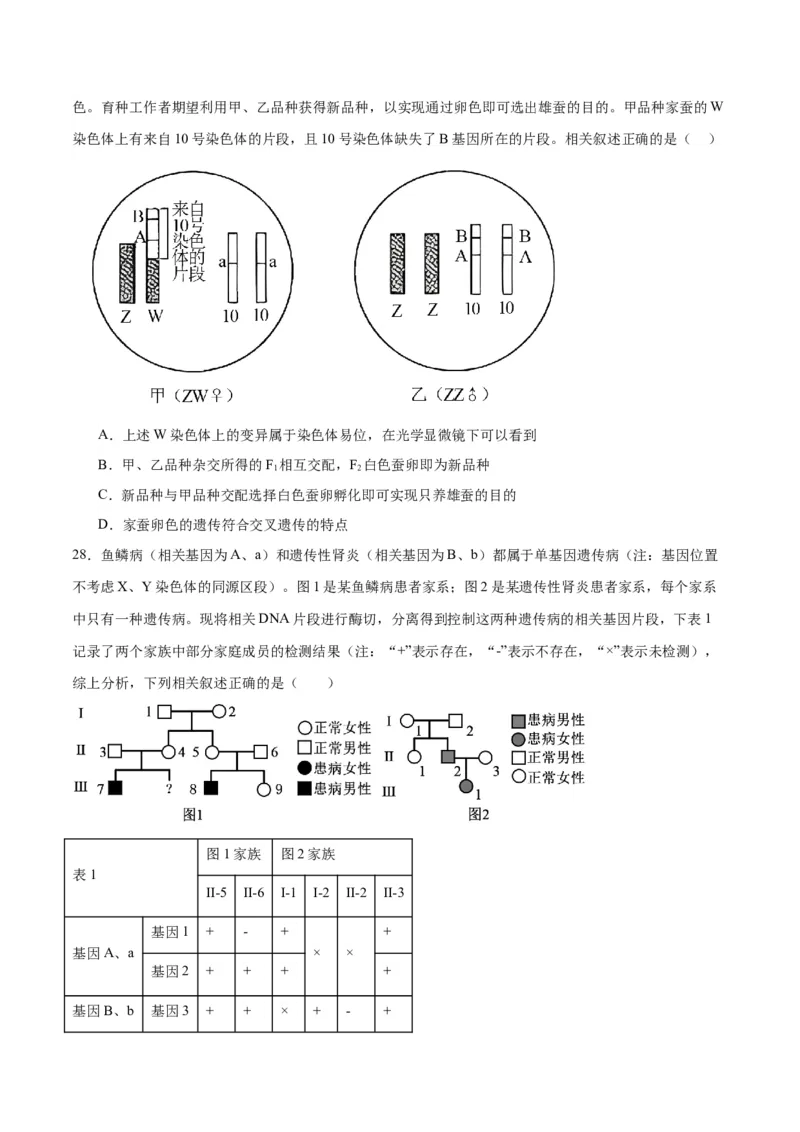 专题18伴性遗传和人类遗传病（原卷版)_2024年新高考资料_3.2024专项复习_备战2024年高考生物一轮复习重难点专项突破_专题18伴性遗传和人类遗传病