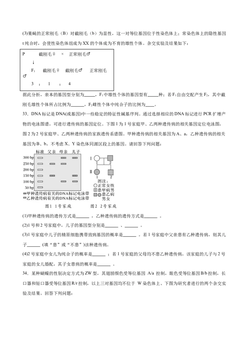 专题18伴性遗传和人类遗传病（原卷版)_2024年新高考资料_3.2024专项复习_备战2024年高考生物一轮复习重难点专项突破_专题18伴性遗传和人类遗传病