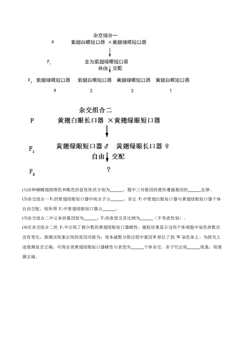 专题18伴性遗传和人类遗传病（原卷版)_2024年新高考资料_3.2024专项复习_备战2024年高考生物一轮复习重难点专项突破_专题18伴性遗传和人类遗传病