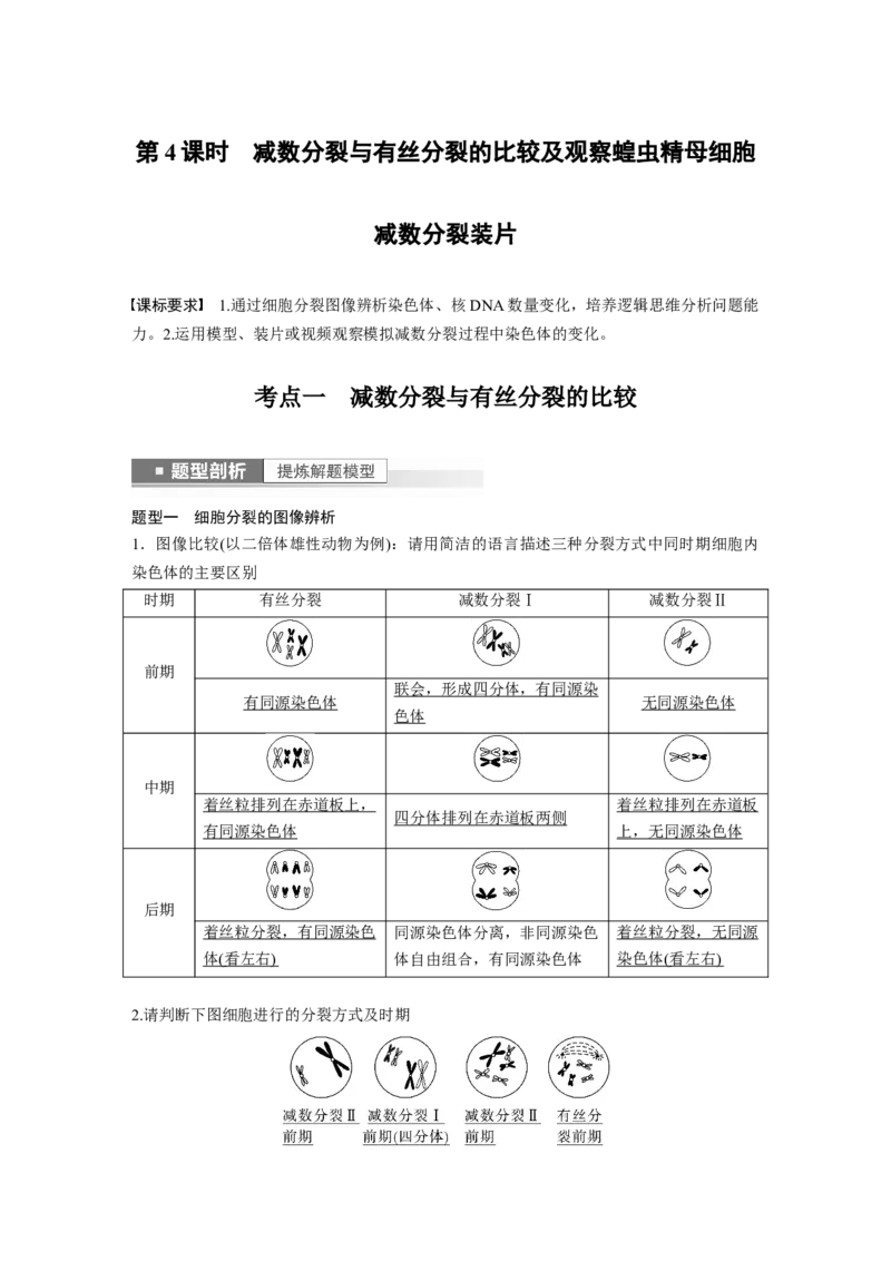 2023年高考生物一轮复习（新人教新高考）第4单元第4课时　减数分裂与有丝分裂的比较及观察蝗虫精母细胞减数分裂装片_新高考复习资料_2023年新高考复习资料_一轮复习