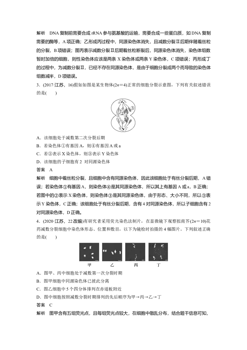 2023年高考生物一轮复习（新人教新高考）第4单元第4课时　减数分裂与有丝分裂的比较及观察蝗虫精母细胞减数分裂装片_新高考复习资料_2023年新高考复习资料_一轮复习
