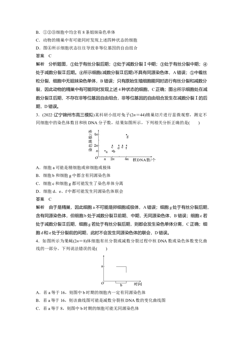 2023年高考生物一轮复习（新人教新高考）第4单元第4课时　减数分裂与有丝分裂的比较及观察蝗虫精母细胞减数分裂装片_新高考复习资料_2023年新高考复习资料_一轮复习