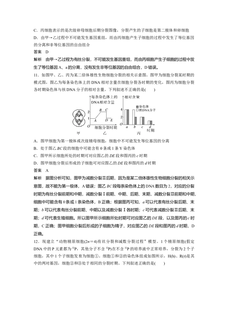 2023年高考生物一轮复习（新人教新高考）第4单元第4课时　减数分裂与有丝分裂的比较及观察蝗虫精母细胞减数分裂装片_新高考复习资料_2023年新高考复习资料_一轮复习