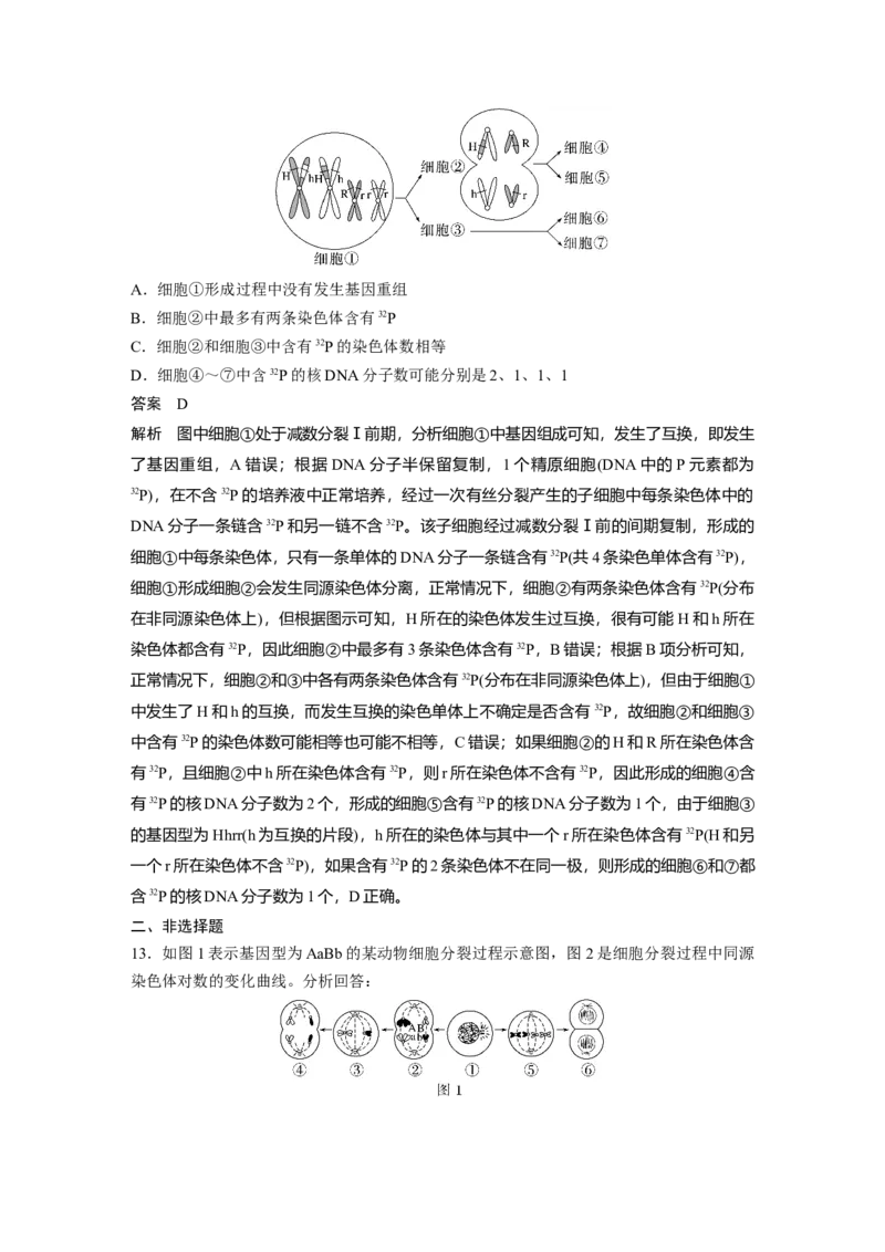 2023年高考生物一轮复习（新人教新高考）第4单元第4课时　减数分裂与有丝分裂的比较及观察蝗虫精母细胞减数分裂装片_新高考复习资料_2023年新高考复习资料_一轮复习