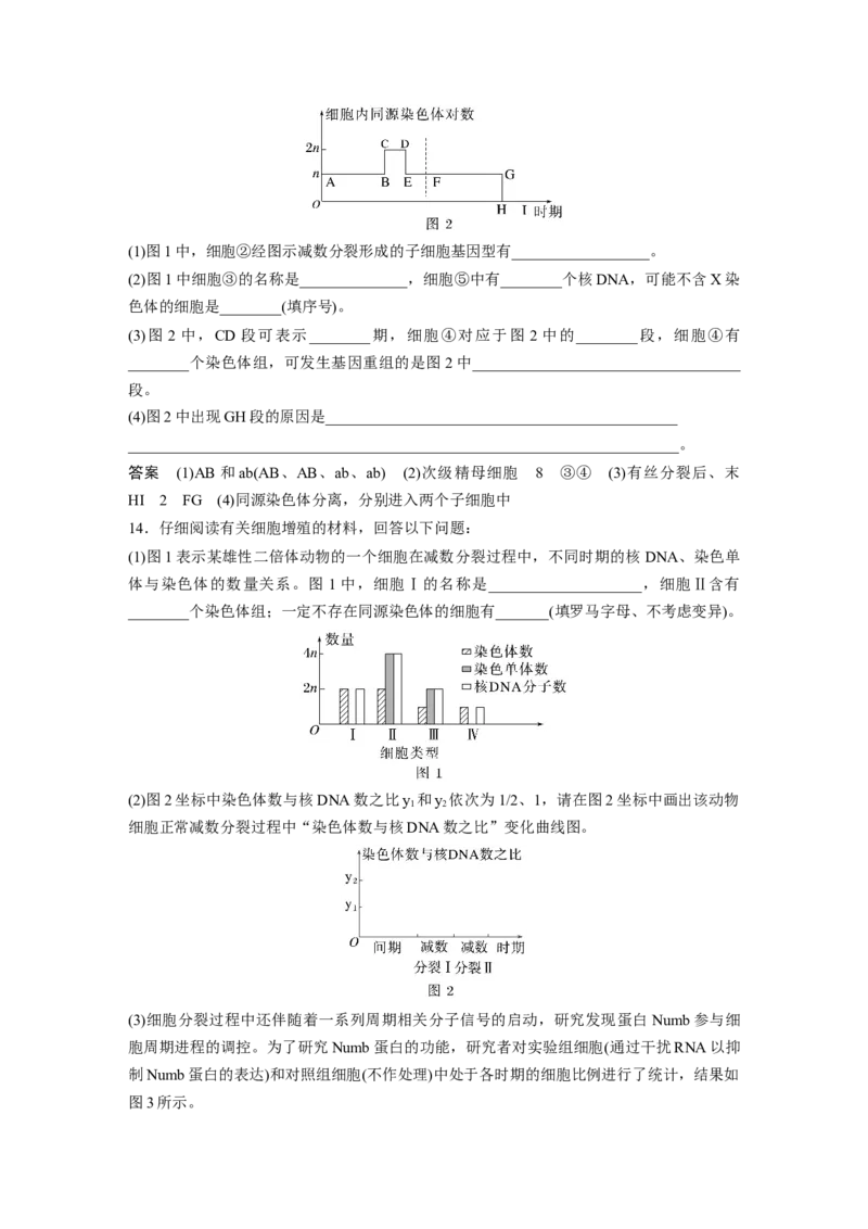 2023年高考生物一轮复习（新人教新高考）第4单元第4课时　减数分裂与有丝分裂的比较及观察蝗虫精母细胞减数分裂装片_新高考复习资料_2023年新高考复习资料_一轮复习