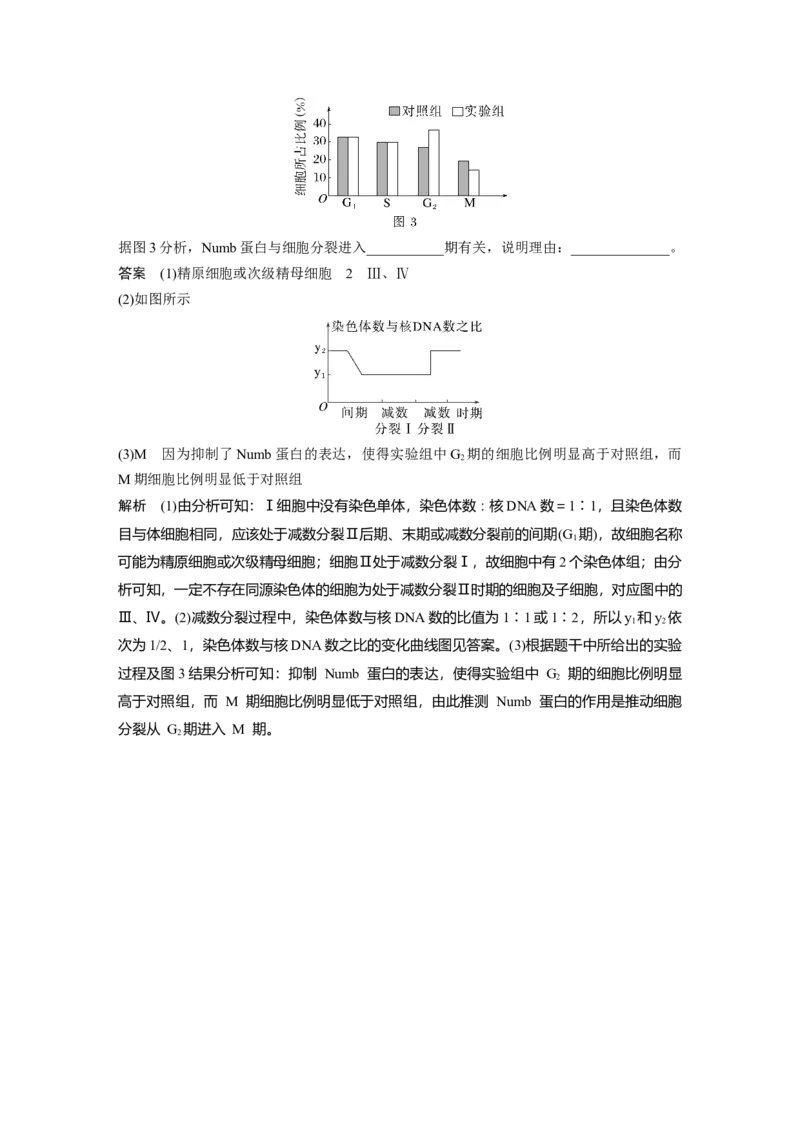 2023年高考生物一轮复习（新人教新高考）第4单元第4课时　减数分裂与有丝分裂的比较及观察蝗虫精母细胞减数分裂装片_新高考复习资料_2023年新高考复习资料_一轮复习