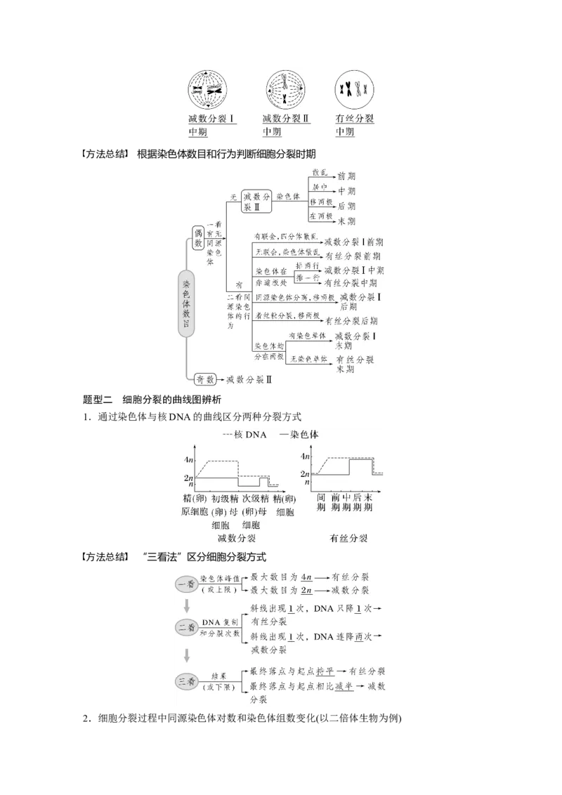 2023年高考生物一轮复习（新人教新高考）第4单元第4课时　减数分裂与有丝分裂的比较及观察蝗虫精母细胞减数分裂装片_新高考复习资料_2023年新高考复习资料_一轮复习