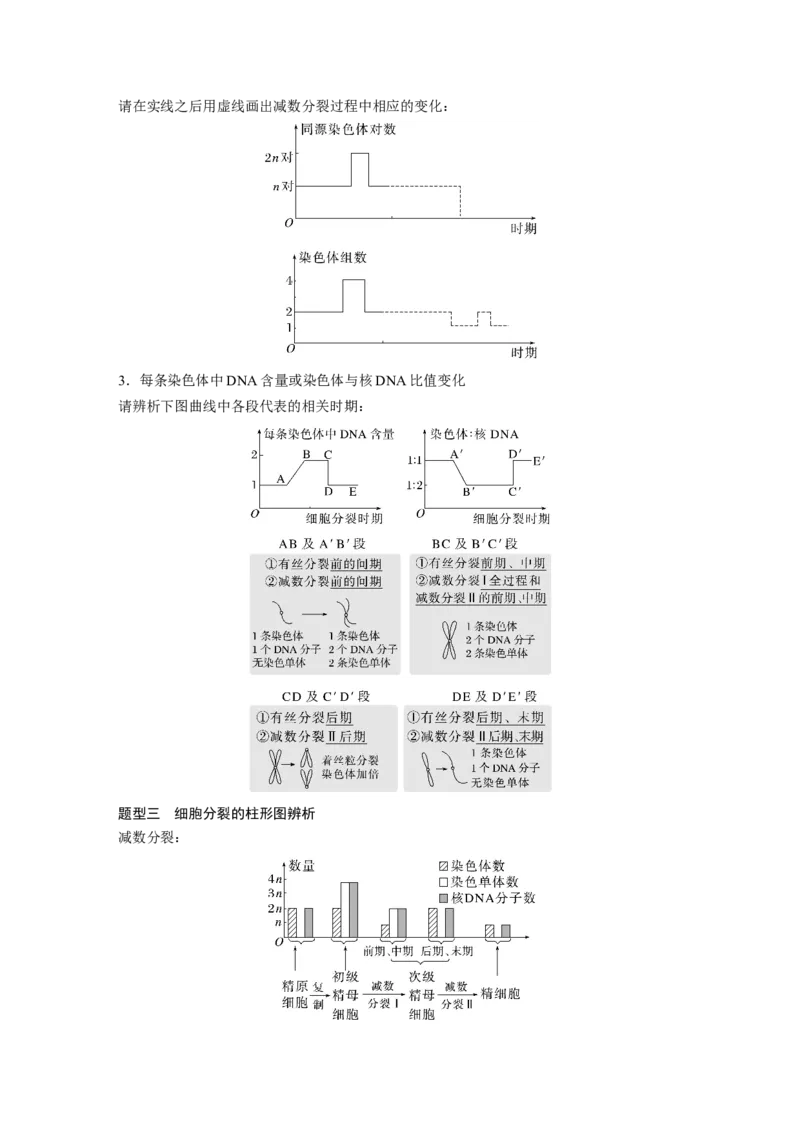 2023年高考生物一轮复习（新人教新高考）第4单元第4课时　减数分裂与有丝分裂的比较及观察蝗虫精母细胞减数分裂装片_新高考复习资料_2023年新高考复习资料_一轮复习