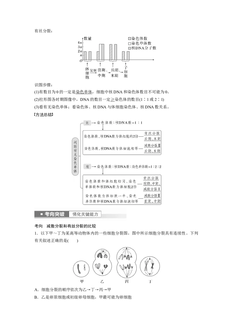 2023年高考生物一轮复习（新人教新高考）第4单元第4课时　减数分裂与有丝分裂的比较及观察蝗虫精母细胞减数分裂装片_新高考复习资料_2023年新高考复习资料_一轮复习