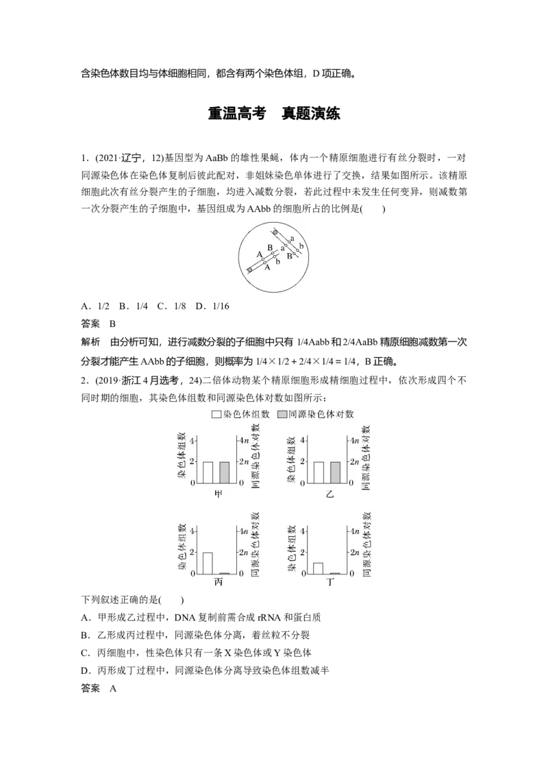 2023年高考生物一轮复习（新人教新高考）第4单元第4课时　减数分裂与有丝分裂的比较及观察蝗虫精母细胞减数分裂装片_新高考复习资料_2023年新高考复习资料_一轮复习