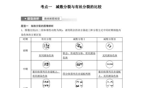 2023年高考生物一轮复习（新人教新高考）第4单元第4课时　减数分裂与有丝分裂的比较及观察蝗虫精母细胞减数分裂装片_新高考复习资料_2023年新高考复习资料_一轮复习