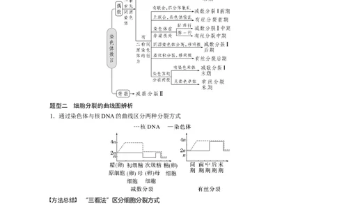 2023年高考生物一轮复习（新人教新高考）第4单元第4课时　减数分裂与有丝分裂的比较及观察蝗虫精母细胞减数分裂装片_新高考复习资料_2023年新高考复习资料_一轮复习