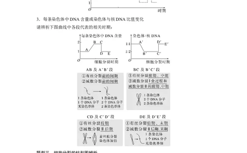 2023年高考生物一轮复习（新人教新高考）第4单元第4课时　减数分裂与有丝分裂的比较及观察蝗虫精母细胞减数分裂装片_新高考复习资料_2023年新高考复习资料_一轮复习