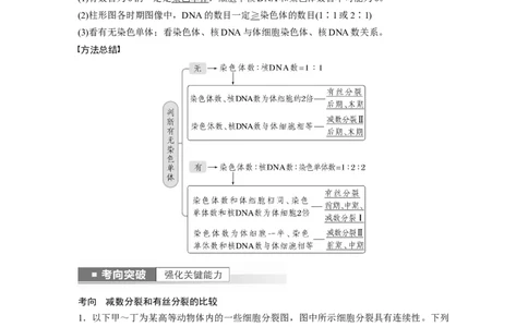 2023年高考生物一轮复习（新人教新高考）第4单元第4课时　减数分裂与有丝分裂的比较及观察蝗虫精母细胞减数分裂装片_新高考复习资料_2023年新高考复习资料_一轮复习