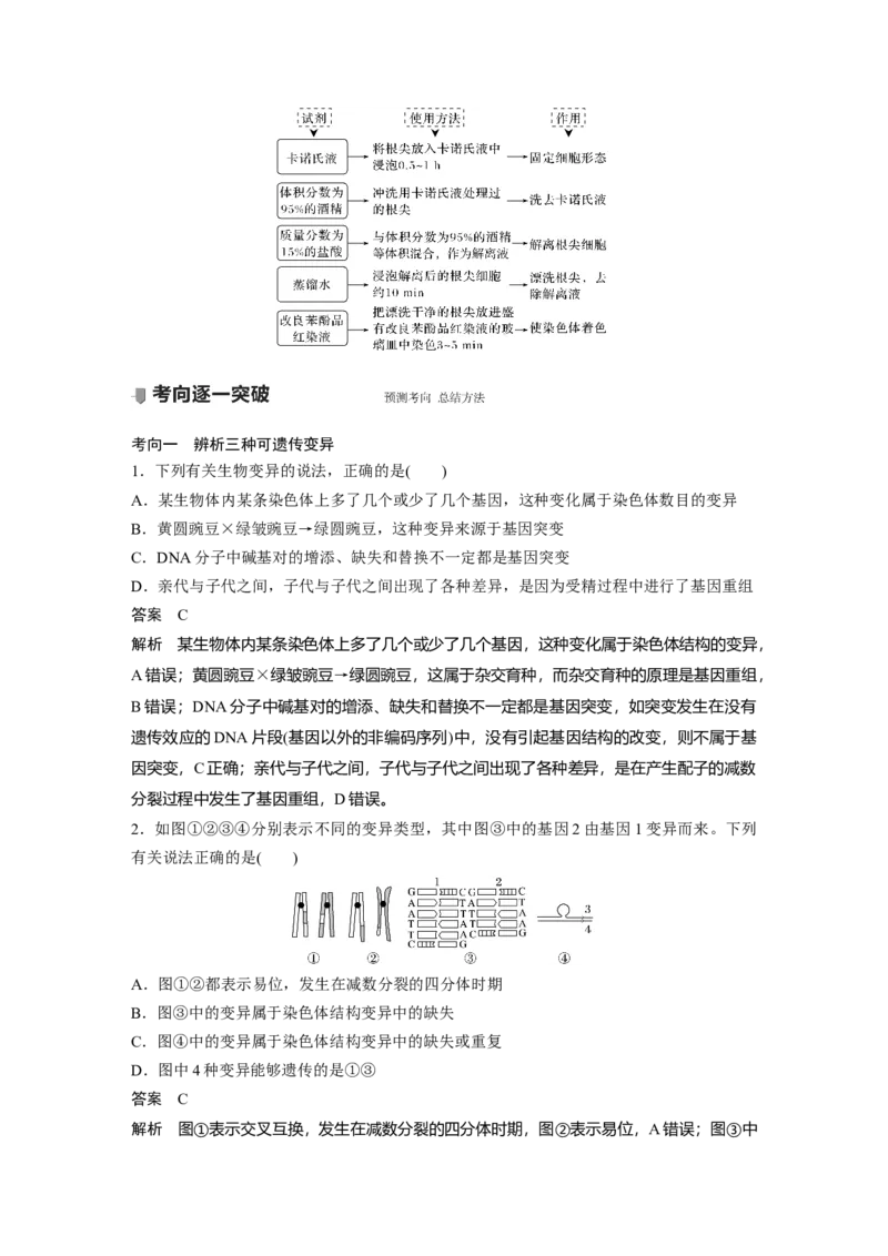 2022年高考生物一轮复习第7单元第21讲　染色体变异与育种)_新高考复习资料_2022年新高考复习资料_2022年一轮复习最新版_1.2022年高考生物一轮复习全国通用版