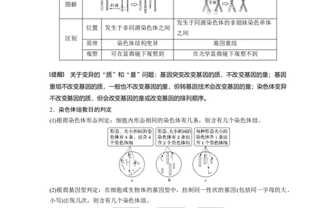 2022年高考生物一轮复习第7单元第21讲　染色体变异与育种)_新高考复习资料_2022年新高考复习资料_2022年一轮复习最新版_1.2022年高考生物一轮复习全国通用版