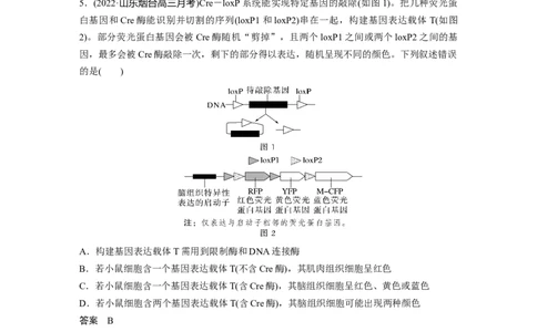 2023年高考生物二轮复习（全国版）第1篇专题突破专题5微专题(三)　遗传前沿科技_通用版（老高考）复习资料_2023年复习资料_二轮复习_2023年高考生物二轮复习讲义+课件（全国版）