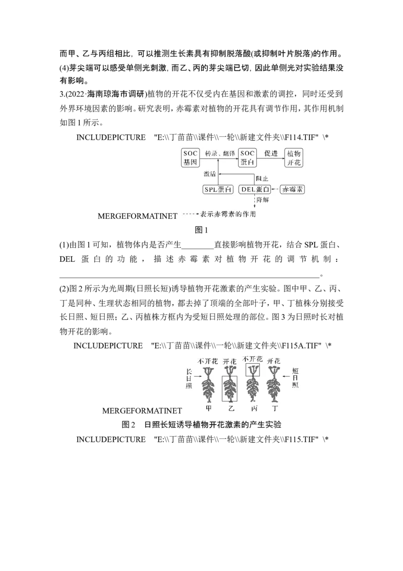 热点微练18植物激素相关的实验设计(尖子生特训)_2024年新高考资料_1.2024一轮复习_2024年高考生物一轮复习讲义（新人教版）_另附1套Word版题库_选择性必修1_第八单元稳态与调节