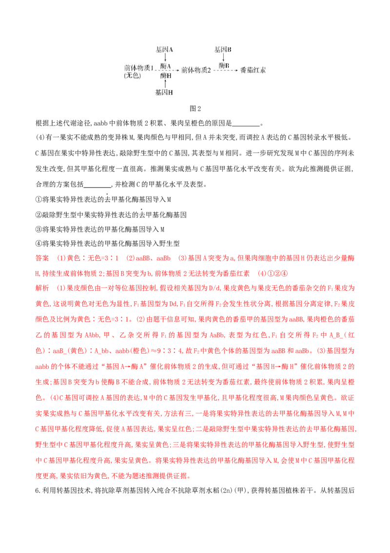 押第24题遗传与进化模块（解析版）_2024年新高考资料_5.2024三轮冲刺_备战2024年高考生物临考题号押题（辽宁、黑龙江、吉林专用）322857720