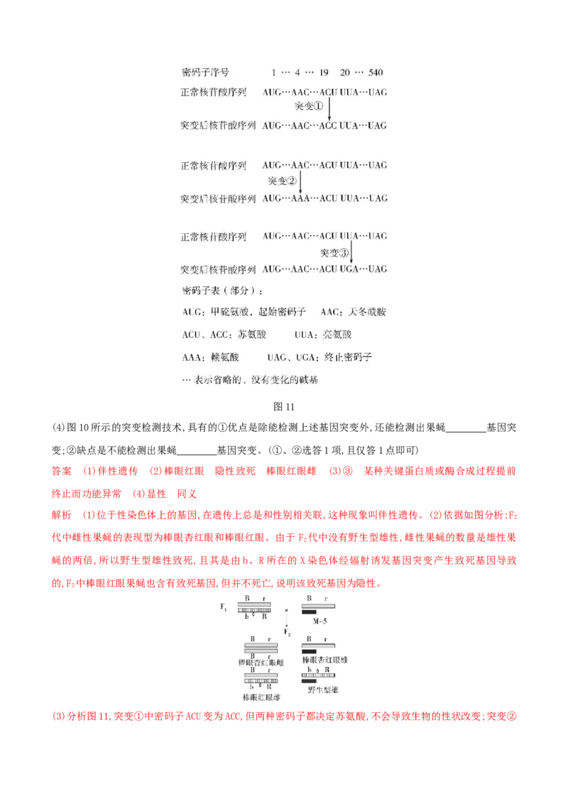 押第24题遗传与进化模块（解析版）_2024年新高考资料_5.2024三轮冲刺_备战2024年高考生物临考题号押题（辽宁、黑龙江、吉林专用）322857720