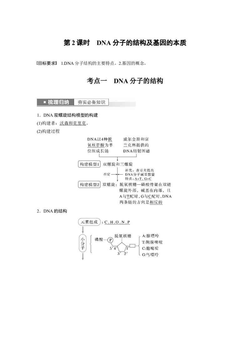 2023年高考生物一轮复习（全国版）第6单元第2课时　DNA分子的结构及基因的本质_通用版（老高考）复习资料_2023年复习资料_一轮复习_2023年高考生物一轮复习讲义+课件（全国版）