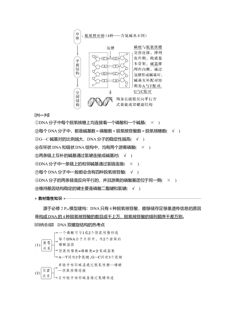 2023年高考生物一轮复习（全国版）第6单元第2课时　DNA分子的结构及基因的本质_通用版（老高考）复习资料_2023年复习资料_一轮复习_2023年高考生物一轮复习讲义+课件（全国版）