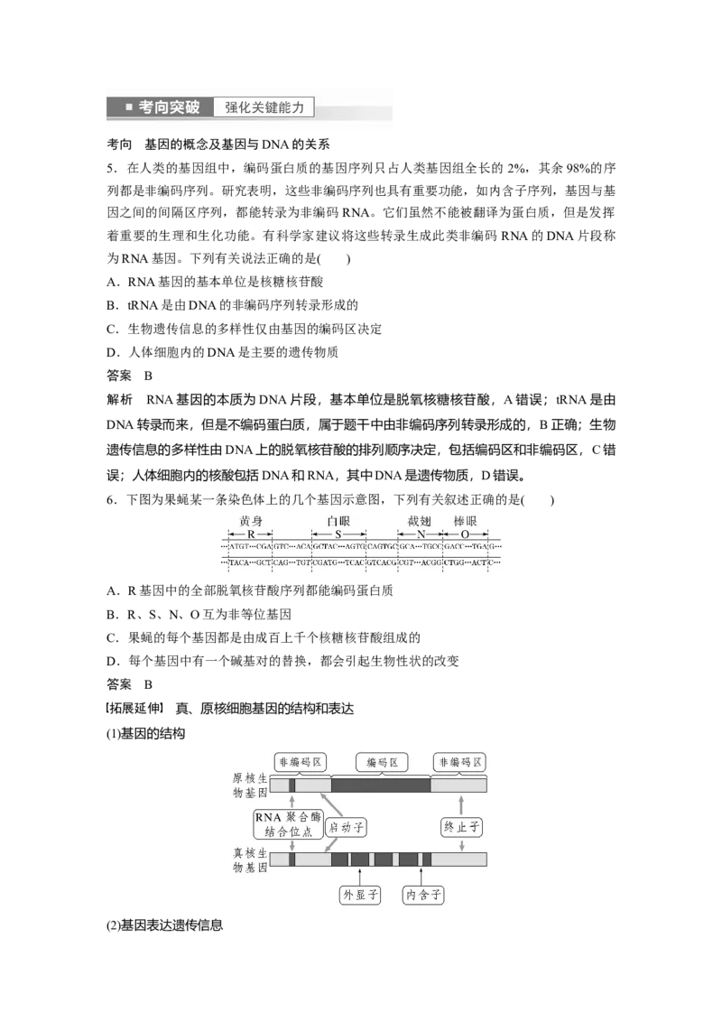 2023年高考生物一轮复习（全国版）第6单元第2课时　DNA分子的结构及基因的本质_通用版（老高考）复习资料_2023年复习资料_一轮复习_2023年高考生物一轮复习讲义+课件（全国版）