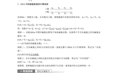 2023年高考生物一轮复习（全国版）第6单元第2课时　DNA分子的结构及基因的本质_通用版（老高考）复习资料_2023年复习资料_一轮复习_2023年高考生物一轮复习讲义+课件（全国版）