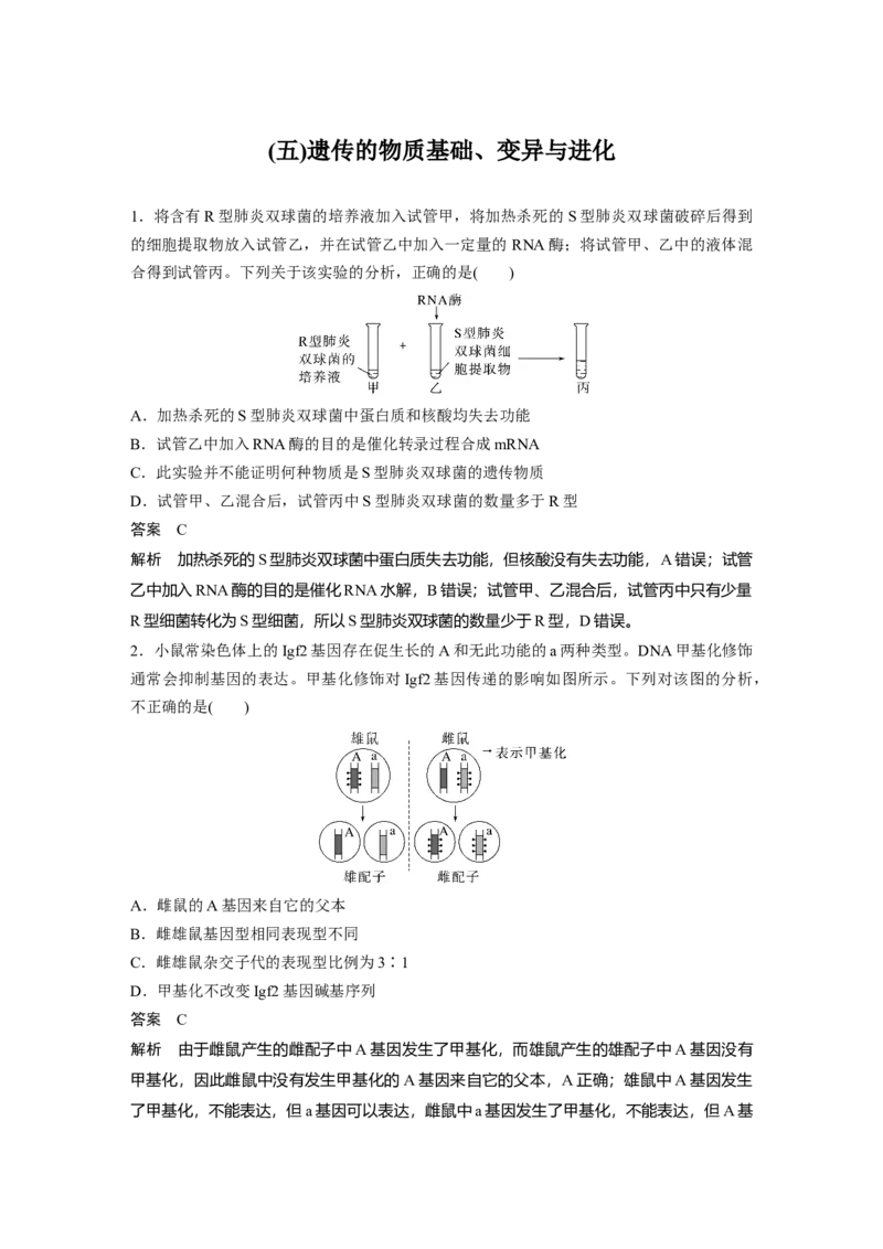 2023年高考生物二轮复习（全国版）第3篇考前特训专项二(五)遗传的物质基础、变异与进化_通用版（老高考）复习资料_2023年复习资料_二轮复习_2023年高考生物二轮复习讲义（全国版）
