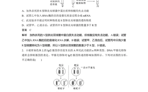2023年高考生物二轮复习（全国版）第3篇考前特训专项二(五)遗传的物质基础、变异与进化_通用版（老高考）复习资料_2023年复习资料_二轮复习_2023年高考生物二轮复习讲义（全国版）