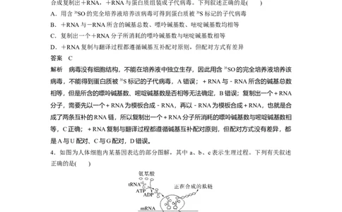2023年高考生物二轮复习（全国版）第3篇考前特训专项二(五)遗传的物质基础、变异与进化_通用版（老高考）复习资料_2023年复习资料_二轮复习_2023年高考生物二轮复习讲义（全国版）