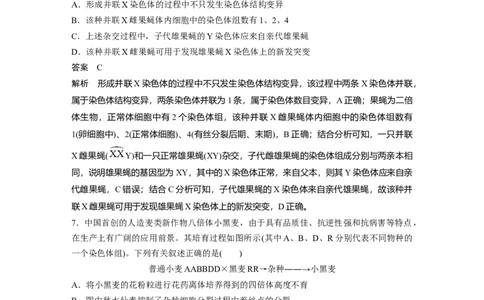 2023年高考生物二轮复习（全国版）第3篇考前特训专项二(五)遗传的物质基础、变异与进化_通用版（老高考）复习资料_2023年复习资料_二轮复习_2023年高考生物二轮复习讲义（全国版）